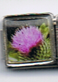 Scottish Thistle - photo enamel 9mm Italian Charm